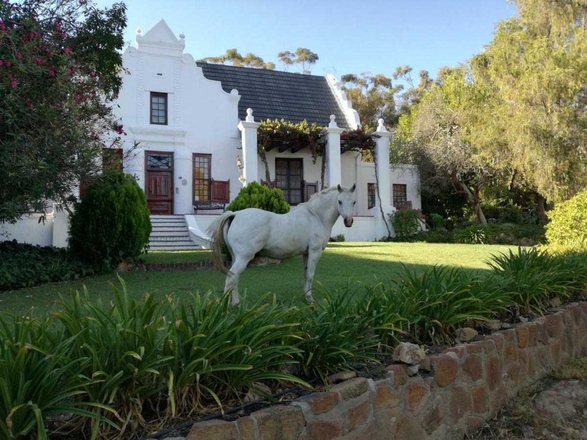 Ferienwohnung Mooiplaas Wine Estate Stellenbosch Exterior foto
